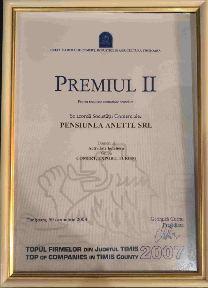 Topul Firmelor 2007 - Premiul 1