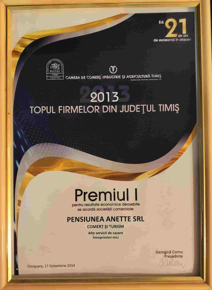 Topul Firmelor 2013 - locul 1